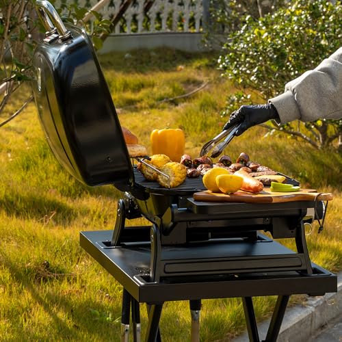 Prenosni plinski žar Royal Gourmet z 2 gorilnikoma, 5 kW namizni žar z zložljivimi stranskimi mizicami, prenosni BBQ žar za balkon, teraso, vrt črn