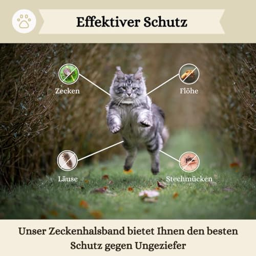 Animalea® Zeckenhalsband für Katzen (2 Stück) - Länge 38cm - wirksamer Schutz gegen Zecken und Flöhe - wasserfest und Leuchtend bis zu 8 Monaten Zeckenschutz mit 100% natürlichen Inhaltsstoffen