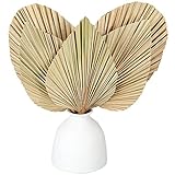 5 Pieces Natural Dried Palm Leaves Real Palm Leaves Decor Boho Palm Fans Tropical Palm Flowers Dried...