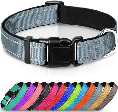 Joytale Reflective Dog Collar,Padded Breathable Soft Neoprene Nylon Pet Collar Adjustable for Large Dogs,L,Purple
