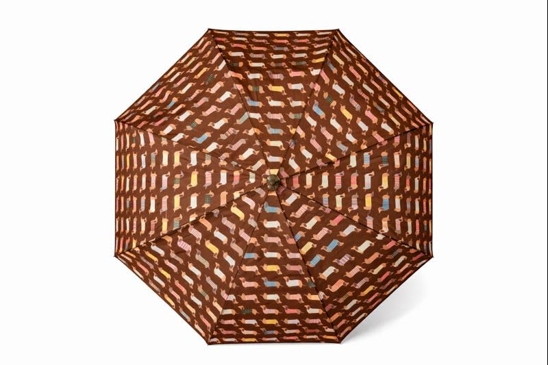 Genérico Paraguas automático compacto con estampado de Perros Salchicha Teckel Coloridos, – 96 cm diametro – 8 varillas metálicas – Plegable 30 cm (Marron)