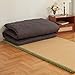 Aircliff Japanese Floor Futon Mattress, Tatami Mat Sleeping Pad, Shikibuton, Mattress Topper, Boys Girls Roll Up Dormitory Mattress, Foldable & Portable Floor Lounger Bed, Guest Bed (Grey, Twin)