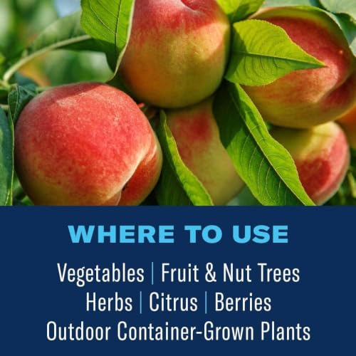 Image of BioAdvanced Organics Brand Tomato, Vegetable & Fruit Insect Control - 24 oz | Ready-to-Use - Kills Listed Insects on Contact - Disease Control - For Edible Gardening