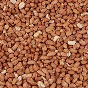 Wild Bird Food (1kg, Peanuts)