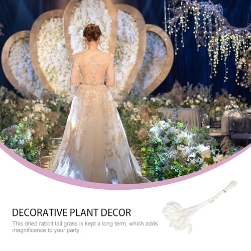 Bouquet 50pcs hierba cola de conejo seca blanca decorativa miniatura 3