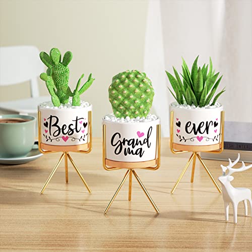 Christmas-Grandma-Gifts-Best-Gifts-for-Grandma-from-Grandchildren-Granddaughter-Best-Grandma-Ever-Succulent-Pots-for-Plants-Indoor-Ceramic-Planter-Gift-Boxed-Cute-Grandma-Birthday-Thanksgiving-Gifts