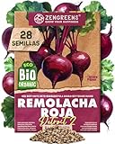ZenGreens® - Semillas de remolachabio - Semillas de verduras para cultivar fácilmente en el jardín, balcón o parterre elevado - Semillas de hortalizas - betabel - detroit 2