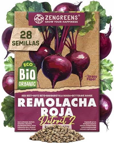 ZenGreens® - Semillas de remolachabio - de verduras para cultivar fácilmente en el jardín, balcón o parterre elevado - Semillas de hortalizas - betabel - detroit 2