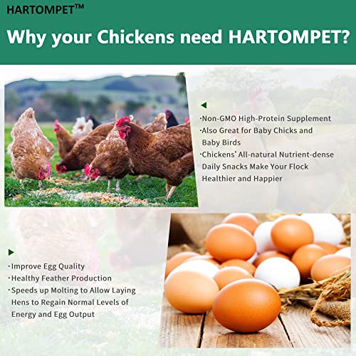 HARTOMPET Better Than Dried Mealworms for Chickens 10 lbs - 85X Calcium Than MealWorms - Non-GMO Chicken Feed Additive & Molting Supplement - black soldier fly larvae Treats for Hens, Ducks, Wild Bird - Image 5