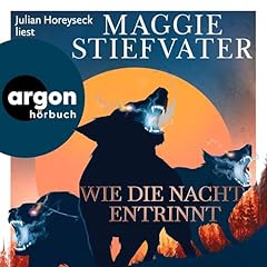 Page de couverture de Wie die Nacht entrinnt
