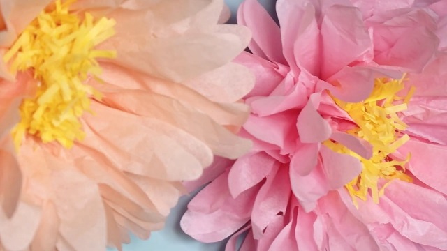 Amazon.com: SUNBEAUTY 12 PCS Giant Paper Flowers Large Butterfly