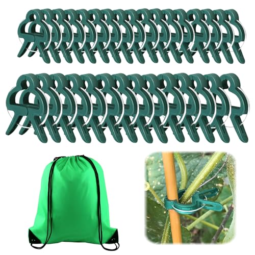 Jisrcha 60 Clips pour Plantes - Pinces À Plantes Grimpantes pour Tomates, Rosiers, Concombres et Autres Plantes Grimpantes, Très Facile À Utiliser pour(30 Grandes + 30 Petites)
