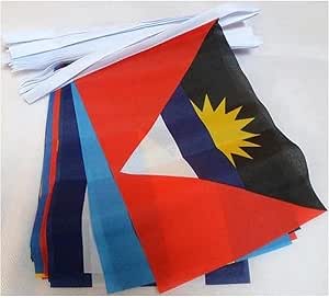 AZ FLAG - 30 Caribbean Countries Bunting Flag - 30 Feet Garland with 30 Small 30 nations of the Caribbean Flags 8'' x 6'' - 100% Polyester String Pennant - 9m