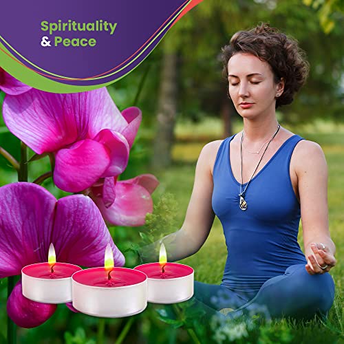 Sweet Pea Candle Scented Candles Tea Lights Candles - Sweet Pea Candle - 30 Pack - Sweet Pea Candle Tea Lights With 3-4 Hour Burn Time Tea Candles - Tealight Candles For Holiday, Wedding And Home #TOP5