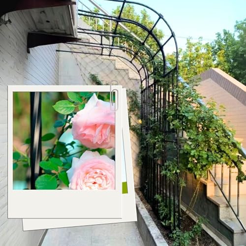 Arche de jardin avec treillis en acier support rose noir - 5