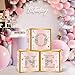 DataMoon 1st Birthday Decorations Boxes for Baby Girl - 3PCS Pink Rose Gold Onederful First Birthday Balloons Boxes, One Year Old Happy Birth Party Theme Cardboard Box for Cake Smash Photo Props