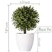 FagusHome 20cm Alto Plantas Artificiales en Maceta 4 Piezas árbol en Forma...