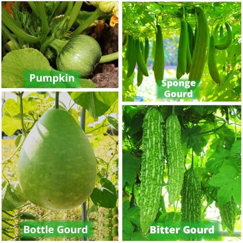 Image of 18x18 Big Size Grow Bags for Terrace Gardening, Premium HDPE Green-Orange Large Planters for Fruit Tree (Pack of 4, 18x18)