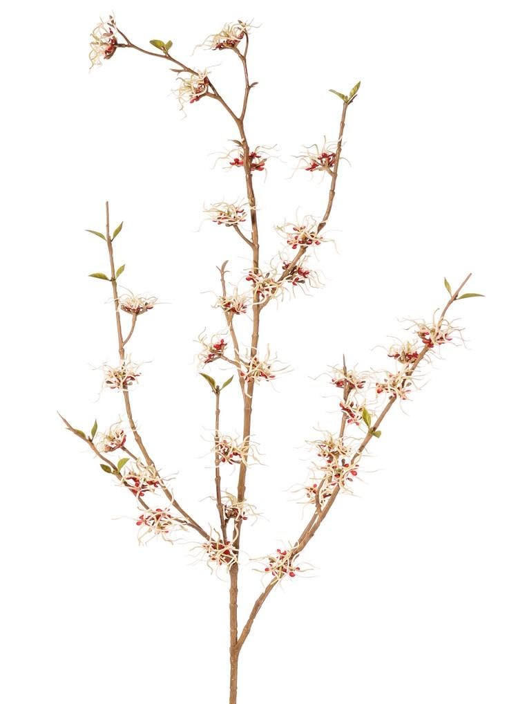 artplants.de Gałązka dekoracyjna hamamelis Xyla, kwiaty, 120 cm, Ø 5 cm