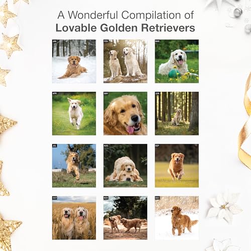 Image of RED EMBER Golden Retrievers 2026 Wall Calendar 12 Month | 12 inch x 24 inch Open | Thick & Sturdy Paper | Holiday Gift | Cute Puppy Dog Calendar 2026