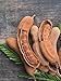 Large Sweet Tamarind Pods, Whole Fruit 100% Natural, Dried Fresh Tamarindo 16 Oz