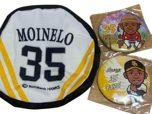 \tgoNz[NX Cl jtH[ |[` ʃobW