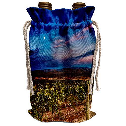 3dRose Danita Delimont - Wineries - USA, Washington, Columbia Valley, Cave B Winery - US48 RDU0533 - Richard Duval - Wine Bag (wbg_148528_1)