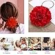 KSJEHW 2 Stücke Chiffon Blumen Blütenblatt Haar Clip Barrettes Zubehör Alligator Clip Mädchen Headwear Kopfschmuck Blume Mädchen Frauen Party Strand Hochzeit Hawaiian Flowers Haarclip(Rot