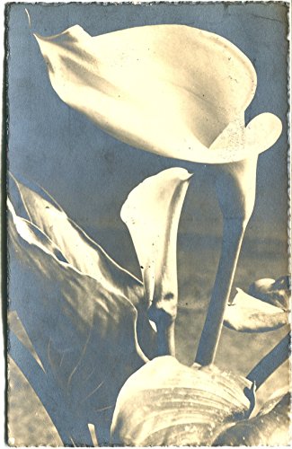 1944 Fiori Calle dest. Cremona affr. Repubblica Sociale Italiana RSI FP B/N VG Cartolina Postale