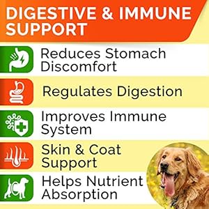 StrellaLab Dog Probiotics Treats for Picky Eaters (180ct) – Digestive Enzymes + Prebiotics – Chewable Fiber Supplement – Allergy, Diarrhea, Gas, Constipation, Upset Stomach Relief – Digestion&Immunity