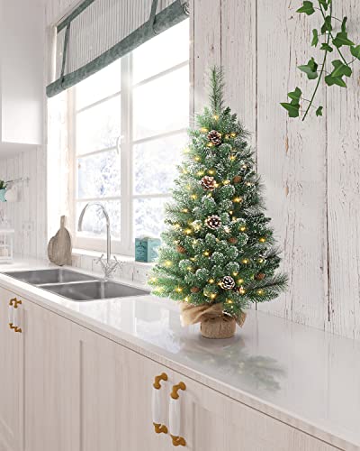 Oasiscraft 2Ft Tabletop Christmas Tree - 24 Inch Christmas Tree,Small Christmas Tree With A Burlap Base, Includes Small White Led Lights And Cloth Bag Base #TOP7