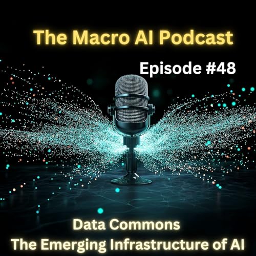 Data Commons — The Emerging Infrastructure of AI Podcast Por arte de portada