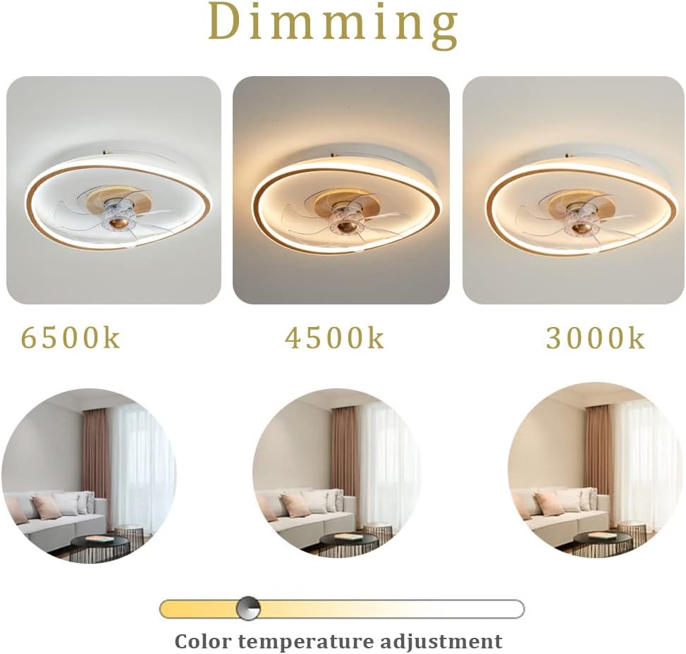 YUEGOO Ceiling Fan with Light and Remote Control Fan Light Chandelier 6 Wind Speed Modern Dining Room Bedroom Room Invisible Silent Ceiling Light Fixture/a