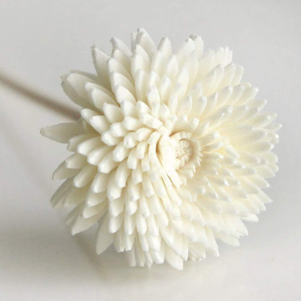 10 Gerbera Design Sola Flower for Aroma Diffuser Home Fragrance by Plawanature