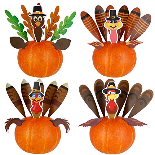 DIY Thanksgiving Pumpkin Turkey Insert Making Kit