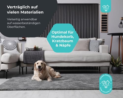 Anti Giardien Spray - RWC - Oberflächen Desinfektionsmittel für Hunde und Katzen - Effektives Hygienespray für Oberflächen mit Reinigungswirkung gegen Giardien, Viren, Bakterien & Pilze 500ml