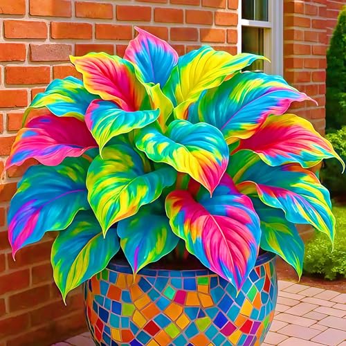 Hosta Bulbo,Hosta,DecoracióN Del Patio,Tolerantes Al FríO Y A La Sombra,Rizoma De Hosta,Plantas En Macetas,Cobertura Del Suelo,BalcóN,Hosta Pianta-6bulbos-A