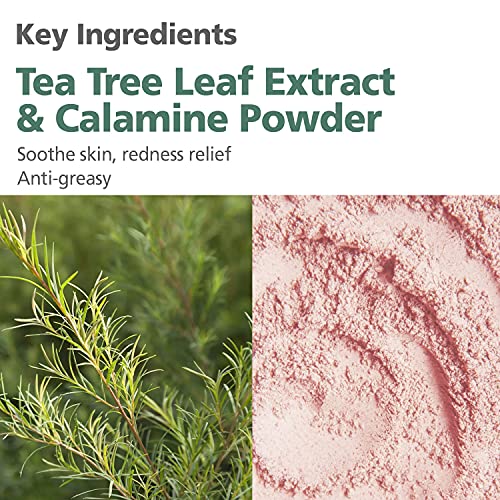 Bring Green Tea Tree Tone-Up Sun Cushion Spf 50 | Daily Korean Sunscreen For Sensitive Skin, Soothing, Hydrating, Sebum Control, Non Greasy, No White Cast, Color Corrector, Sun Protection (0.5 Oz, 15G) #TOP3