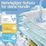 HUND IST KÖNIG Hundewindeln für Hündinnen (3 Stück) - Hochabsorbierende Läufigkeitshose für Hündinnen mit 3-Fach Justierung - Umweltfreundliche Hunde Windeln, Hundehöschen Läufigkeit & Inkontinenz