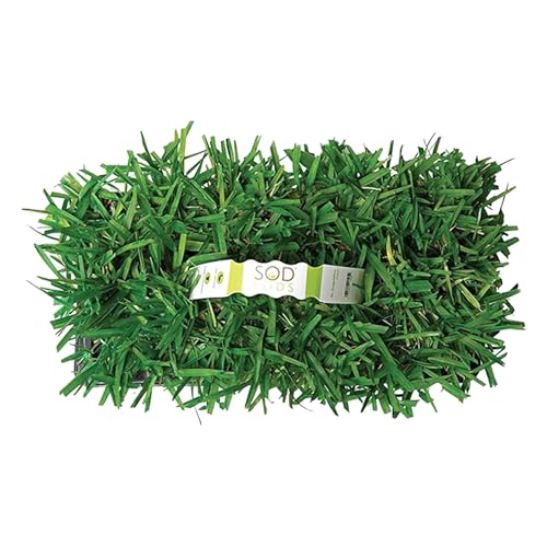 SodPods® St. Augustine Scotts® ProVista™ Grass Plugs for Lawn Repair, 3' x 3' Each (32-Count) – Cannot Ship to California/Arizona