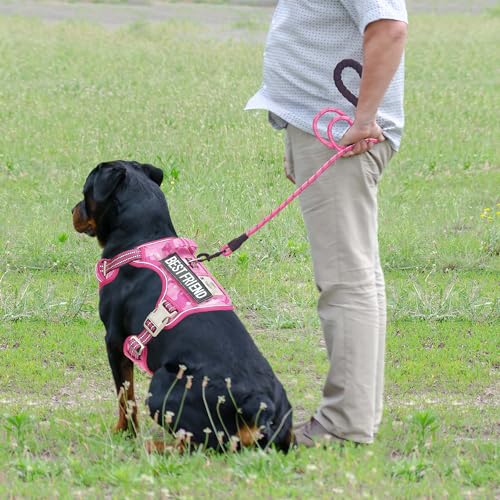Image of Beebiepet Heavy Duty Tactical Dog Harness for Small Dogs, No Pull Adjustable Pet Harness Reflective Service Training Easy Control Pet Vest Military K9 Working Dog Harnesses- Large, Pink Camo
