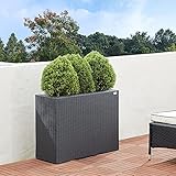 Die stilvollen Blumentöpfe aus handgewobenem Polyrattangeflecht sind ein wahrer Blickfang. Sie können die Pflanzkübel sowohl Außen als auch Innen nutzen.