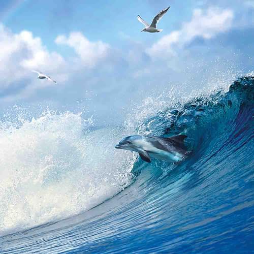 Our Blue Planet 2018 (Mindful Editions)