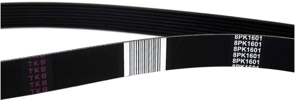 V-Ribbed Alternador A/C Belt for Volvo VN VNL D13 Engine 20545619 8PK1601 TKB 70.403