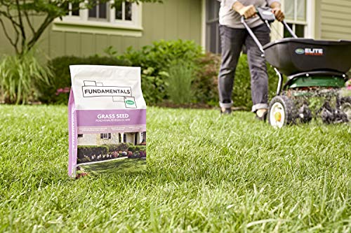 Grass Seed Blends For Erosion Control On Slopes