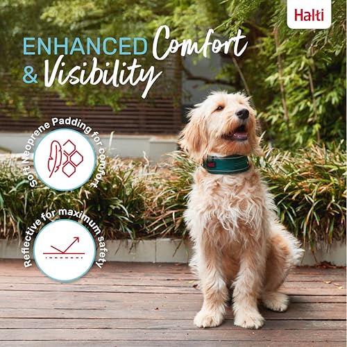 Image of Halti Anatomy Dog Collar | Size L, Teal | Wide Design Collar for Pressure Relief | Padded, Reflective & Adjustable | Matching Leash & Harness | For Large Dogs