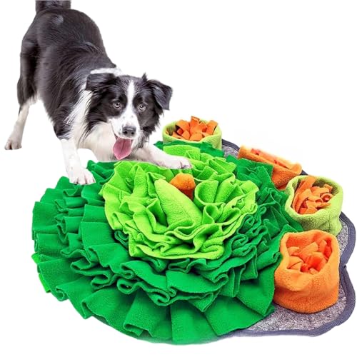 uCARJOYvm[Y[N}bg ybg LoP}bg ybgpi XgX kop koP  ybgXgX mߋ ybga}bg  Vяꏊ Pѕz W͌ iP ^s/XgX s H