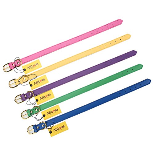 Collar clásico acolchado de cuero para mascotas tamaño L miniatura 4