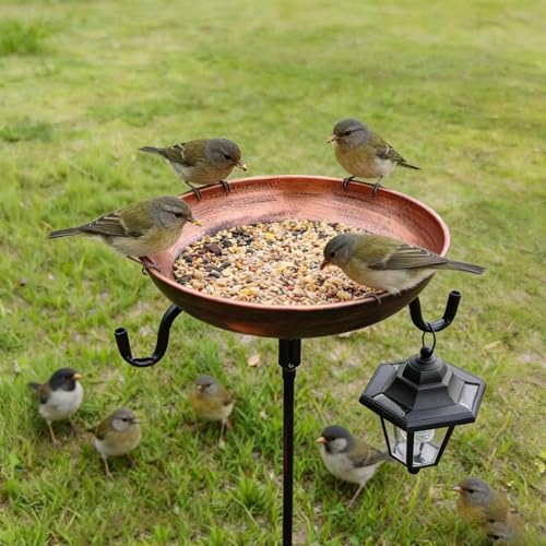 Bol bain d'oiseau résistant aux intempéries pour parcs - 4
