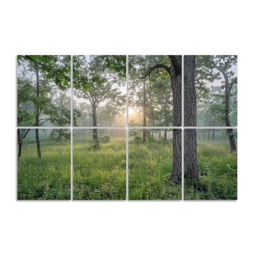 8 Pack Paneles Acústicos Decorativos Absorbentes de Sonido Verde Bosque Naturaleza Paisaje Roble Vintage Amanecer Montaña para Estudios de Grabación Oficina 48"x32"